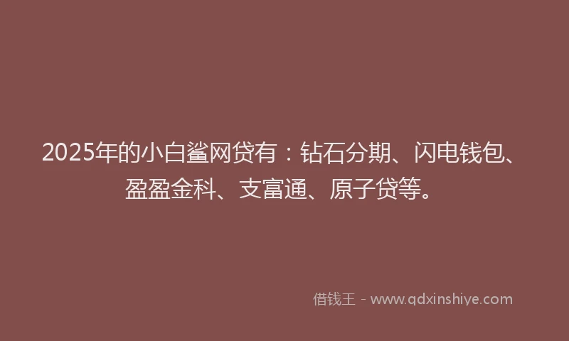2025年的小白鲨网贷有：钻石分期、闪电钱包、盈盈金科、支富通、原子贷等。