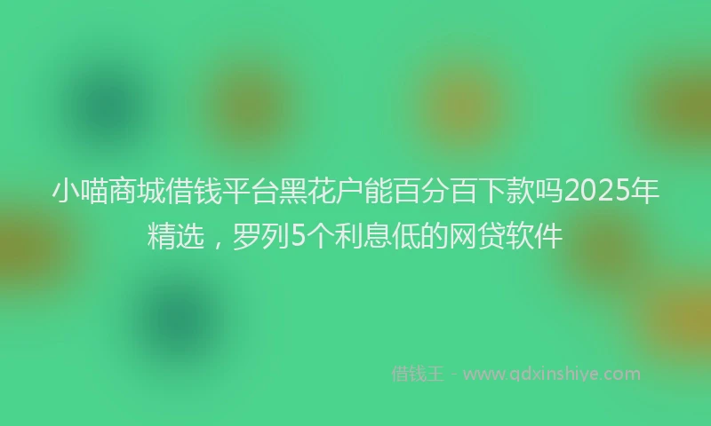 小喵商城借钱平台黑花户能百分百下款吗2025年精选，罗列5个利息低的网贷软件