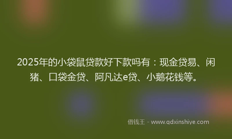 2025年的小袋鼠贷款好下款吗有：现金贷易、闲猪、口袋金贷、阿凡达e贷、小鹅花钱等。