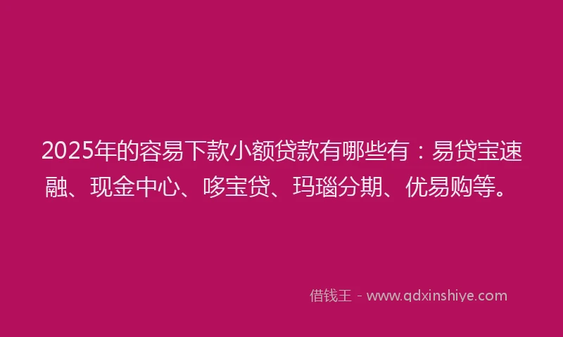 2025年的容易下款小额贷款有哪些有：易贷宝速融、现金中心、哆宝贷、玛瑙分期、优易购等。