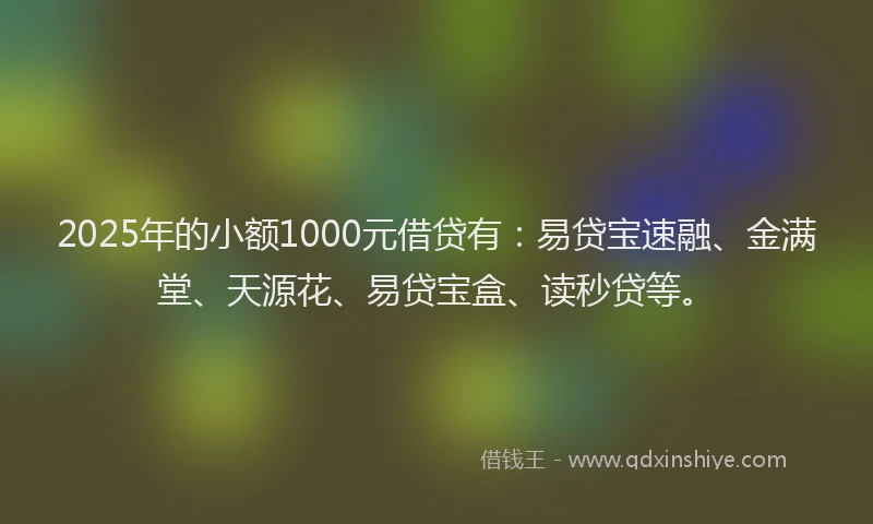 2025年的小额1000元借贷有：易贷宝速融、金满堂、天源花、易贷宝盒、读秒贷等。