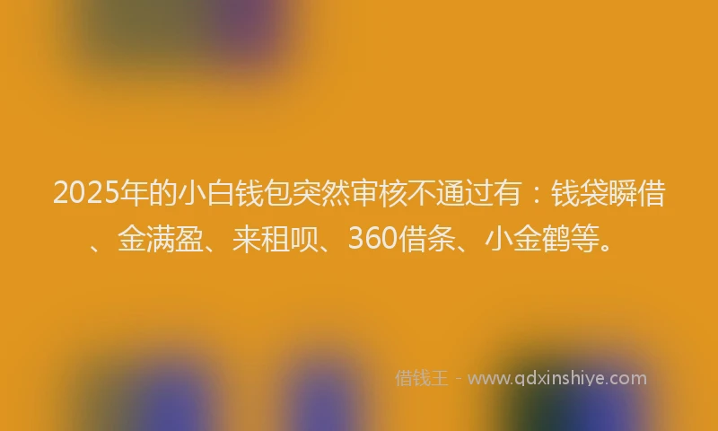 2025年的小白钱包突然审核不通过有：钱袋瞬借、金满盈、来租呗、360借条、小金鹤等。