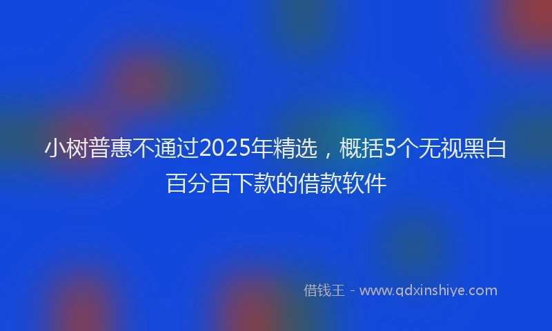 小树普惠不通过2025年精选，概括5个无视黑白百分百下款的借款软件