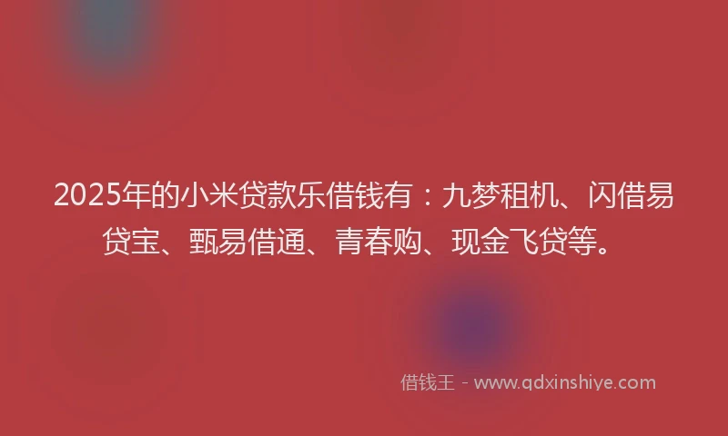 2025年的小米贷款乐借钱有：九梦租机、闪借易贷宝、甄易借通、青春购、现金飞贷等。