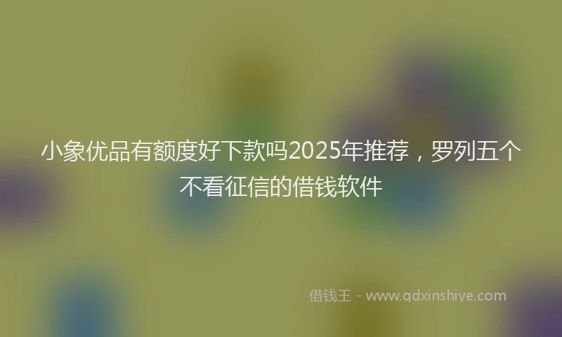 小象优品有额度好下款吗2025年推荐，罗列五个不看征信的借钱软件
