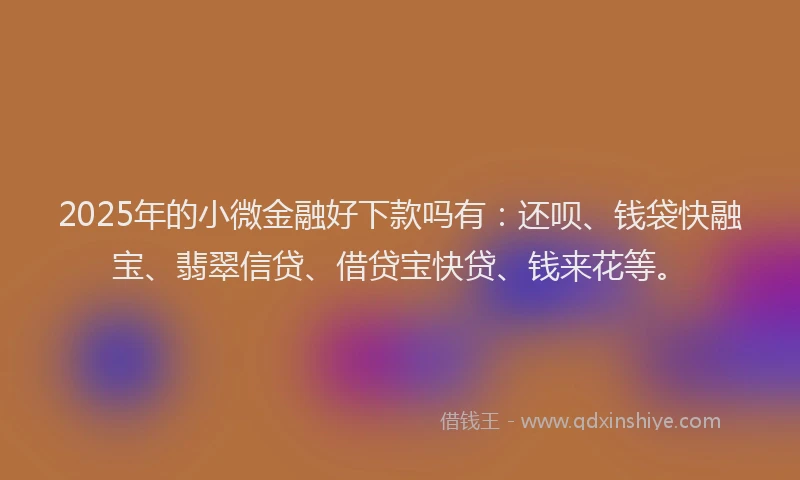 2025年的小微金融好下款吗有：还呗、钱袋快融宝、翡翠信贷、借贷宝快贷、钱来花等。