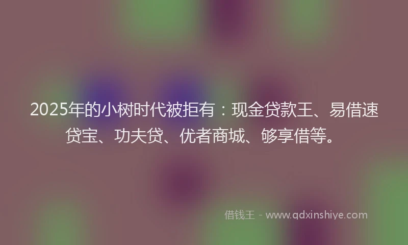 2025年的小树时代被拒有：现金贷款王、易借速贷宝、功夫贷、优者商城、够享借等。