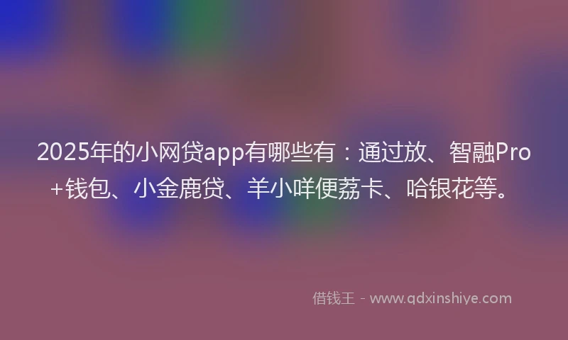 2025年的小网贷app有哪些有：通过放、智融Pro+钱包、小金鹿贷、羊小咩便荔卡、哈银花等。