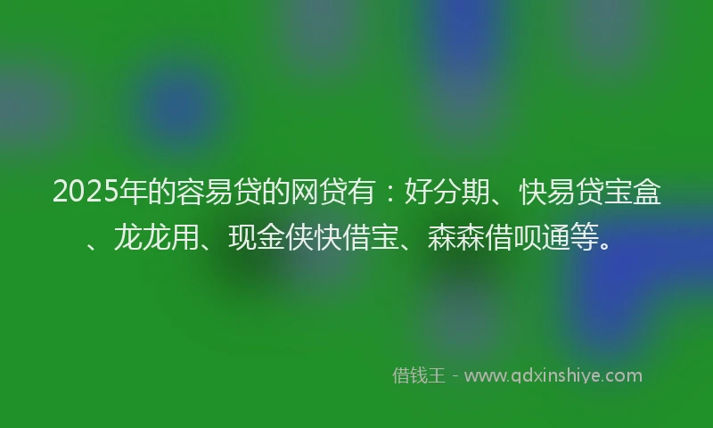 2025年的容易贷的网贷有：好分期、快易贷宝盒、龙龙用、现金侠快借宝、森森借呗通等。