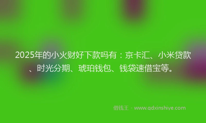 2025年的小火财好下款吗有：京卡汇、小米贷款、时光分期、琥珀钱包、钱袋速借宝等。