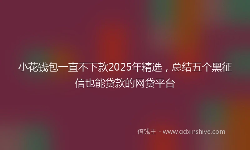 小花钱包一直不下款2025年精选，总结五个黑征信也能贷款的网贷平台