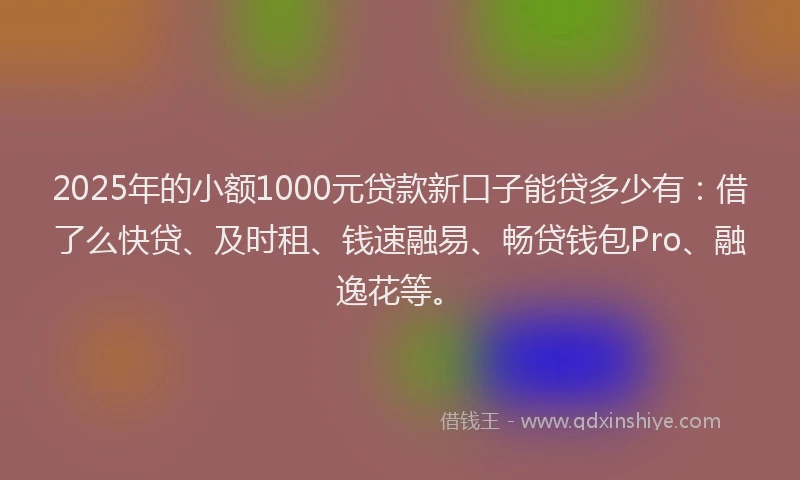 2025年的小额1000元贷款新口子能贷多少有：借了么快贷、及时租、钱速融易、畅贷钱包Pro、融逸花等。