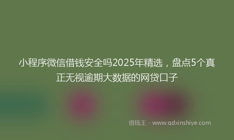 小程序微信借钱安全吗2025年精选，盘点5个真正无视逾期大数据的网贷口子