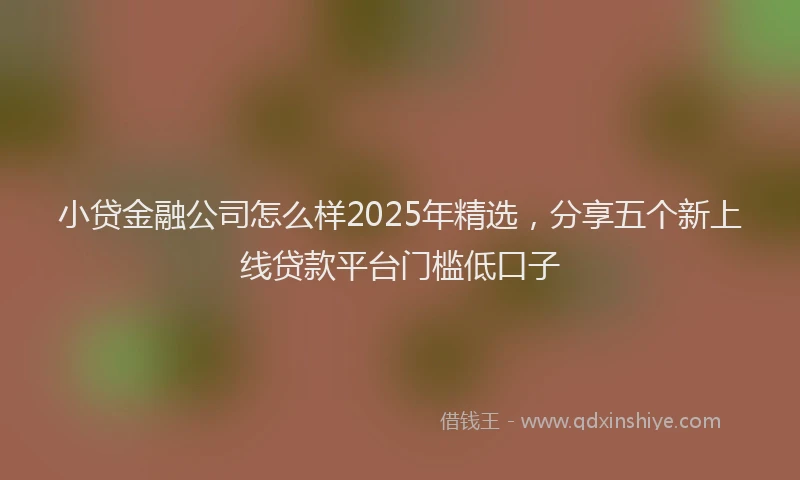 小贷金融公司怎么样2025年精选，分享五个新上线贷款平台门槛低口子