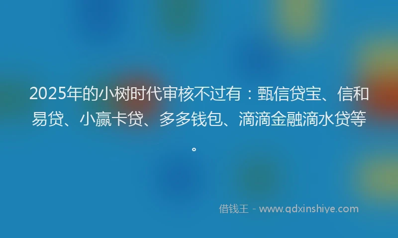 2025年的小树时代审核不过有：甄信贷宝、信和易贷、小赢卡贷、多多钱包、滴滴金融滴水贷等。