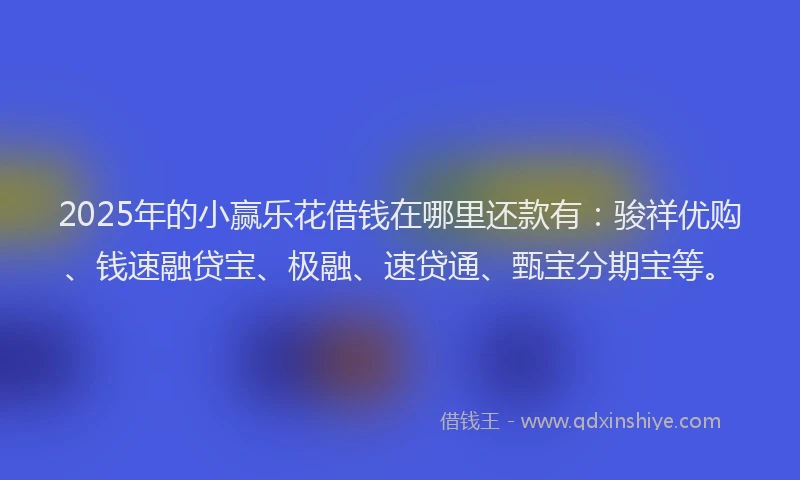 2025年的小赢乐花借钱在哪里还款有：骏祥优购、钱速融贷宝、极融、速贷通、甄宝分期宝等。