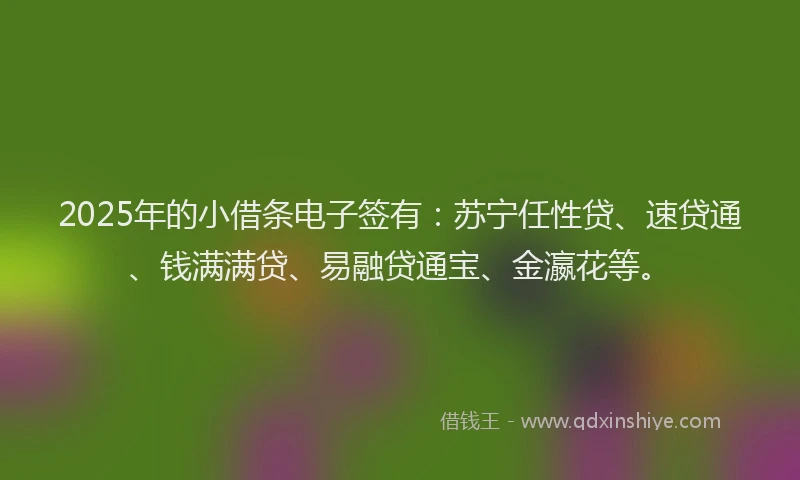 2025年的小借条电子签有：苏宁任性贷、速贷通、钱满满贷、易融贷通宝、金瀛花等。