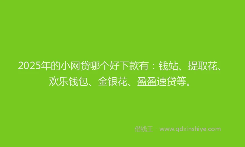 2025年的小网贷哪个好下款有：钱站、提取花、欢乐钱包、金银花、盈盈速贷等。