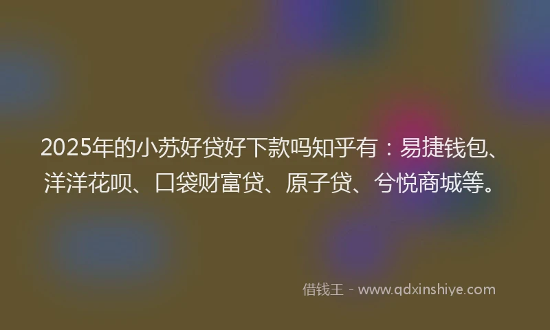 2025年的小苏好贷好下款吗知乎有：易捷钱包、洋洋花呗、口袋财富贷、原子贷、兮悦商城等。