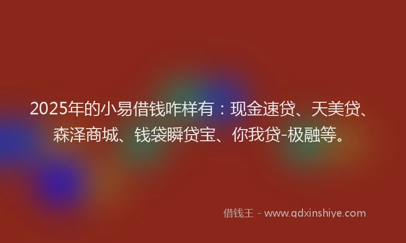 2025年的小易借钱咋样有：现金速贷、天美贷、森泽商城、钱袋瞬贷宝、你我贷-极融等。