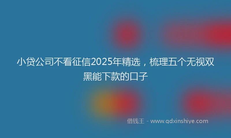 小贷公司不看征信2025年精选，梳理五个无视双黑能下款的口子