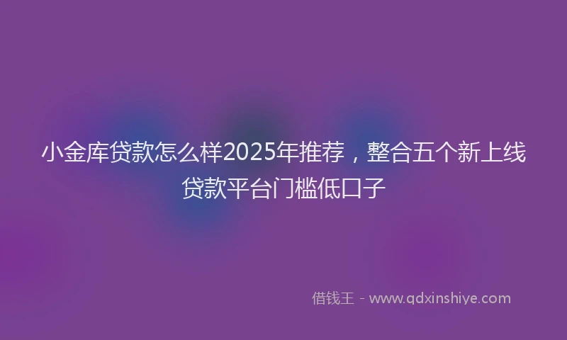 小金库贷款怎么样2025年推荐，整合五个新上线贷款平台门槛低口子