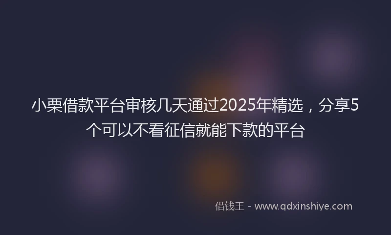 小栗借款平台审核几天通过2025年精选，分享5个可以不看征信就能下款的平台