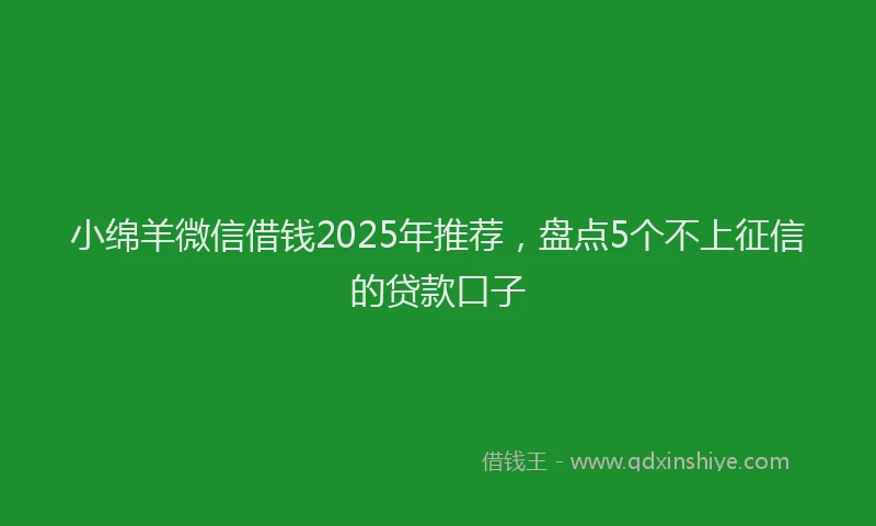 小绵羊微信借钱2025年推荐，盘点5个不上征信的贷款口子