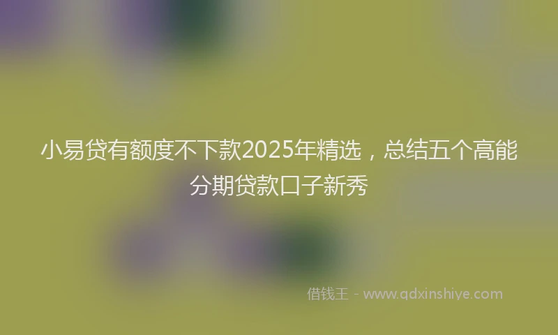 小易贷有额度不下款2025年精选，总结五个高能分期贷款口子新秀