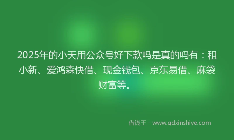 2025年的小天用公众号好下款吗是真的吗有：租小新、爱鸿森快借、现金钱包、京东易借、麻袋财富等。