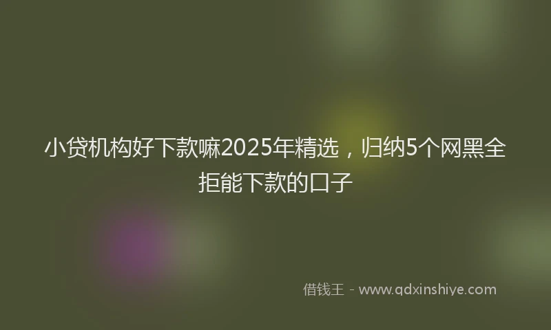 小贷机构好下款嘛2025年精选，归纳5个网黑全拒能下款的口子
