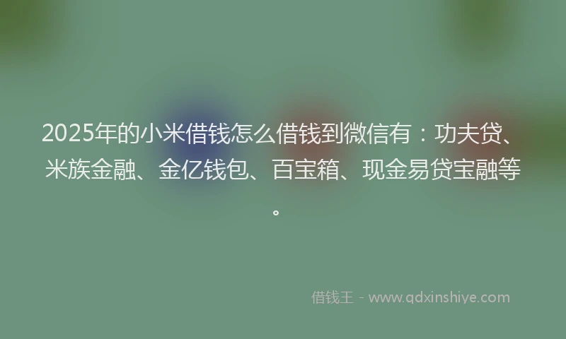 2025年的小米借钱怎么借钱到微信有：功夫贷、米族金融、金亿钱包、百宝箱、现金易贷宝融等。