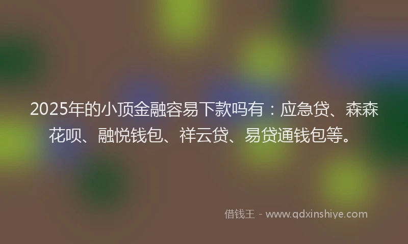 2025年的小顶金融容易下款吗有：应急贷、森森花呗、融悦钱包、祥云贷、易贷通钱包等。