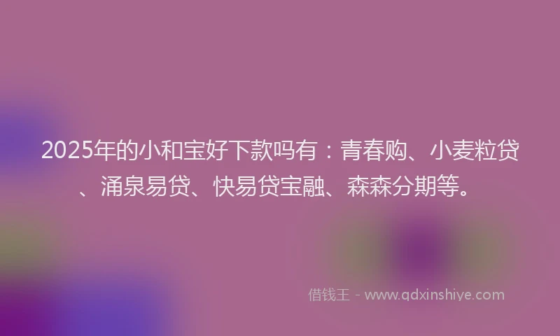 2025年的小和宝好下款吗有：青春购、小麦粒贷、涌泉易贷、快易贷宝融、森森分期等。