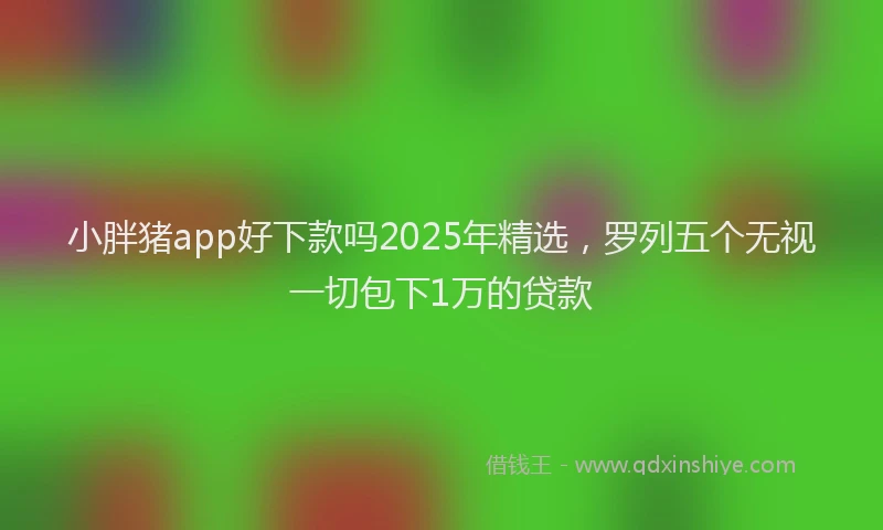 小胖猪app好下款吗2025年精选，罗列五个无视一切包下1万的贷款