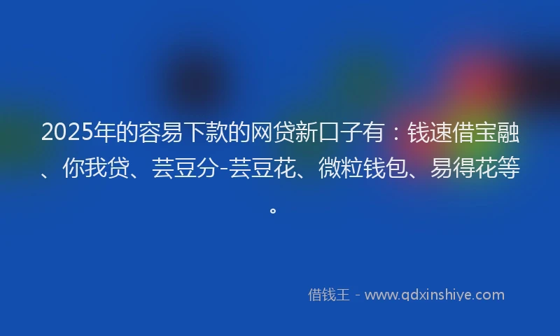 2025年的容易下款的网贷新口子有：钱速借宝融、你我贷、芸豆分-芸豆花、微粒钱包、易得花等。