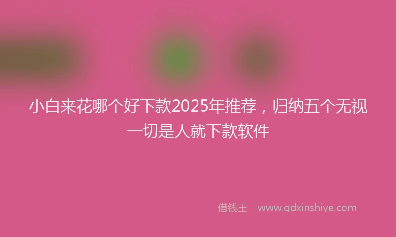 小白来花哪个好下款2025年推荐，归纳五个无视一切是人就下款软件