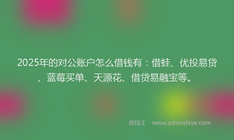 2025年的对公账户怎么借钱有：借蛙、优投易贷、蓝莓买单、天源花、借贷易融宝等。