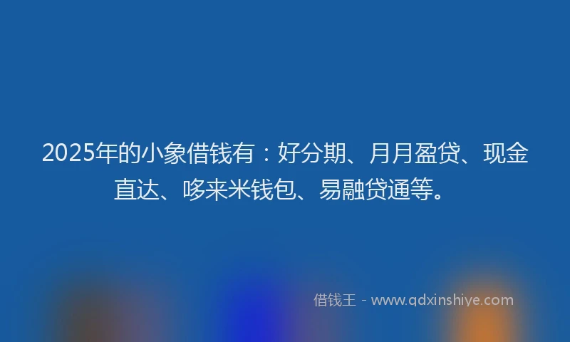 2025年的小象借钱有：好分期、月月盈贷、现金直达、哆来米钱包、易融贷通等。
