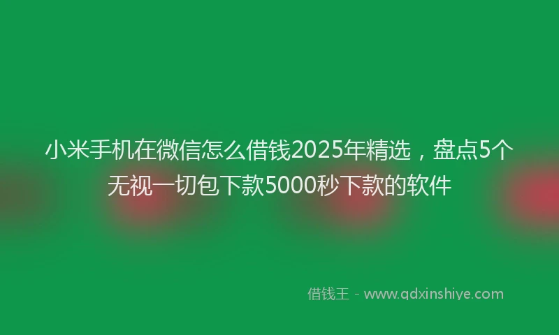 小米手机在微信怎么借钱2025年精选，盘点5个无视一切包下款5000秒下款的软件