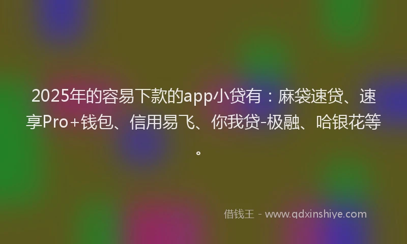 2025年的容易下款的app小贷有：麻袋速贷、速享Pro+钱包、信用易飞、你我贷-极融、哈银花等。