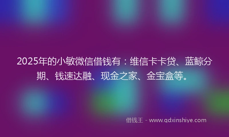 2025年的小敏微信借钱有：维信卡卡贷、蓝鲸分期、钱速达融、现金之家、金宝盒等。