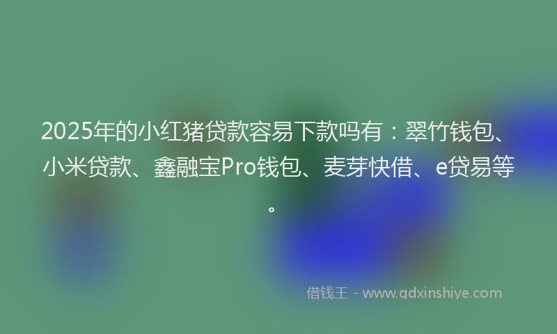 2025年的小红猪贷款容易下款吗有：翠竹钱包、小米贷款、鑫融宝Pro钱包、麦芽快借、e贷易等。