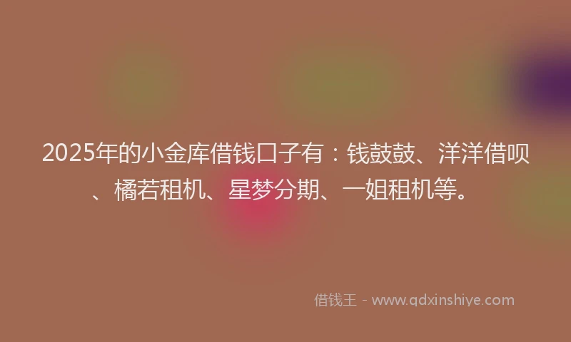 2025年的小金库借钱口子有：钱鼓鼓、洋洋借呗、橘若租机、星梦分期、一姐租机等。