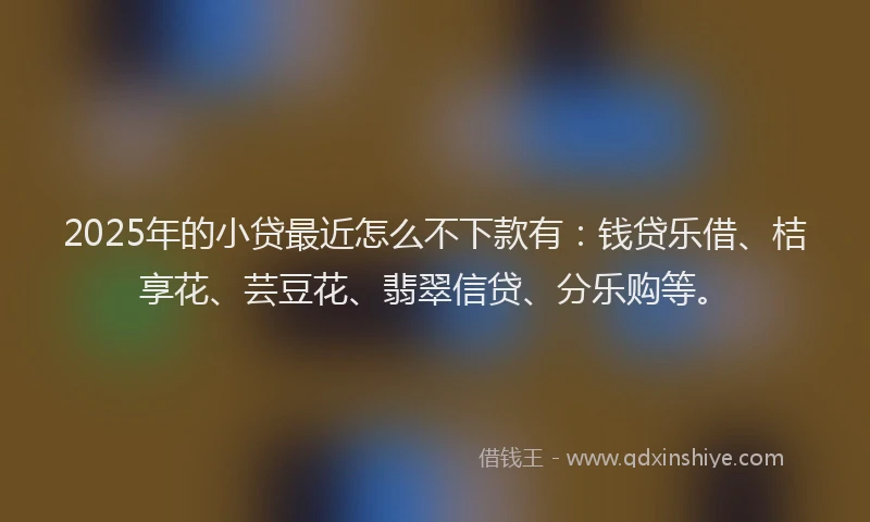 2025年的小贷最近怎么不下款有：钱贷乐借、桔享花、芸豆花、翡翠信贷、分乐购等。