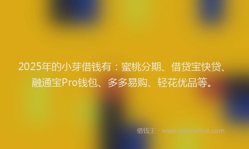2025年的小芽借钱有：蜜桃分期、借贷宝快贷、融通宝Pro钱包、多多易购、轻花优品等。