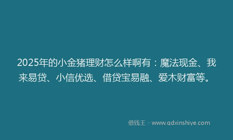 2025年的小金猪理财怎么样啊有：魔法现金、我来易贷、小信优选、借贷宝易融、爱木财富等。