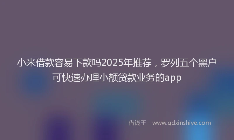 小米借款容易下款吗2025年推荐，罗列五个黑户可快速办理小额贷款业务的app