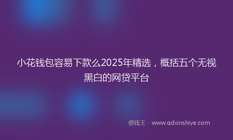 小花钱包容易下款么2025年精选，概括五个无视黑白的网贷平台