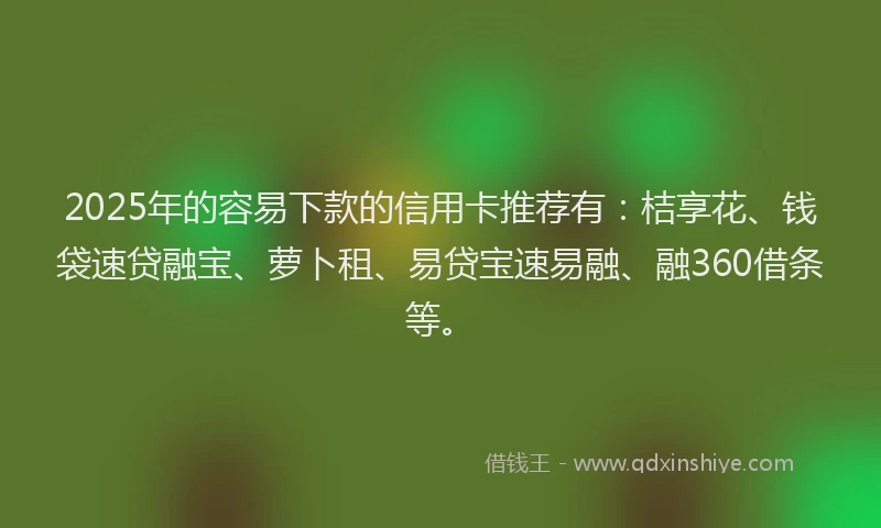 2025年的容易下款的信用卡推荐有：桔享花、钱袋速贷融宝、萝卜租、易贷宝速易融、融360借条等。